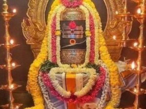 Rudra Abhishek Puja Trimbakeshwar